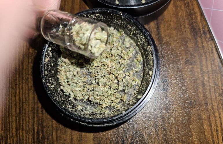 🍊range Bud 2.0. Week 15