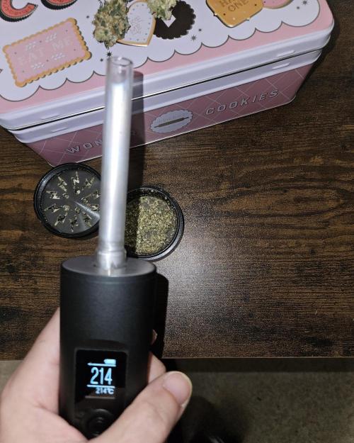 🍊range Bud 2.0. Week 15