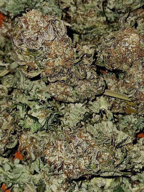 🍌Strawnana Sundae/ Again. Week 14 - -14 days later.