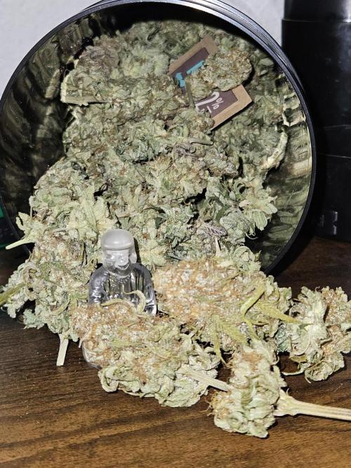 🍌Strawnana Sundae/ Again. Week 14