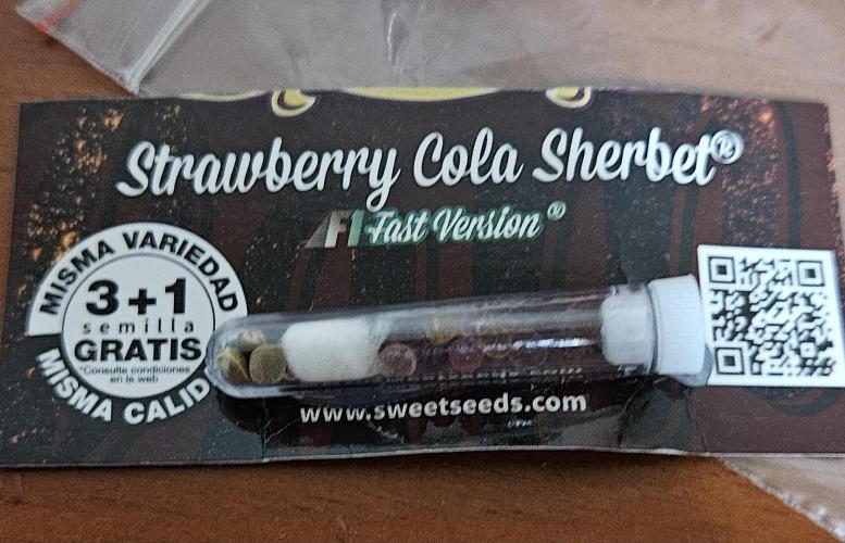 Strawberry Cola Sherbet+Fast Bastard. Week 0
