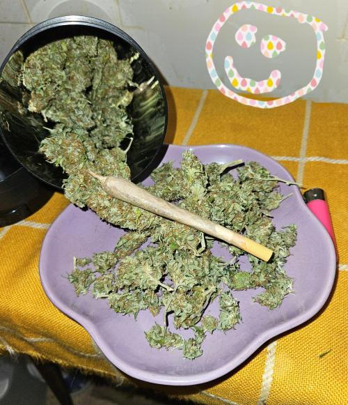 🐭-Sticky Broccoli-🐭. Week 16