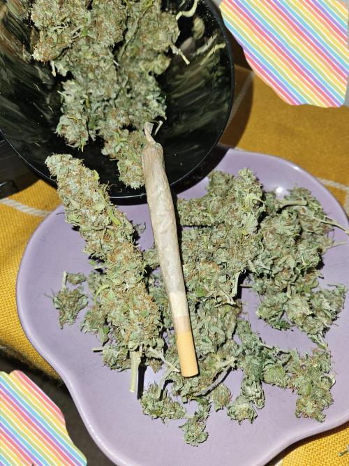 🐭-Sticky Broccoli-🐭. Week 16