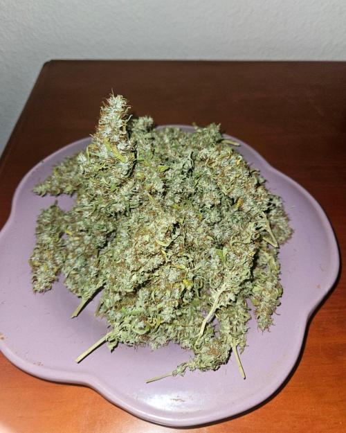 Strawberry Cola Sherbet+Fat Bastard. Week 13