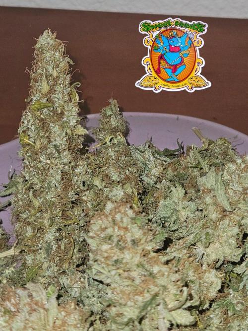Strawberry Cola Sherbet+Fat Bastard. Week 13