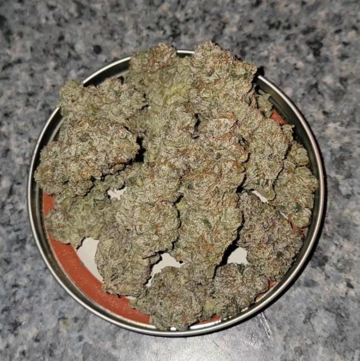 Gelato Hunt. Week 14