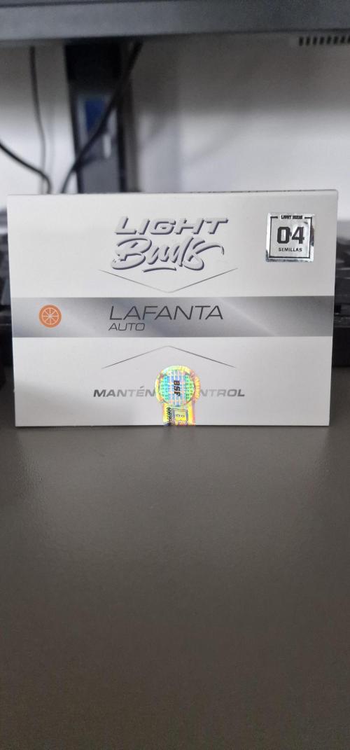 Lafanta light auto. Week 0