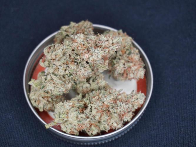 Peanut Butter Pie. Week 17