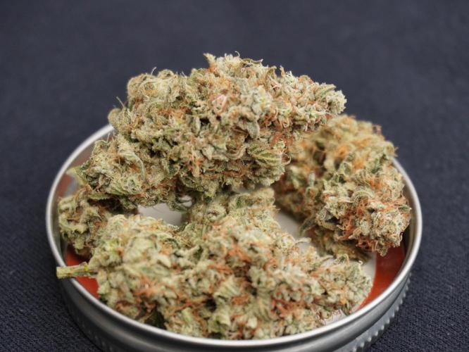 Peanut Butter Pie. Week 17