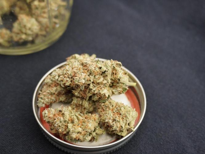 Peanut Butter Pie. Week 17