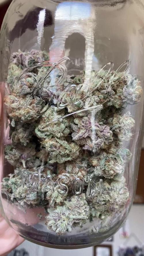 Sept Grow