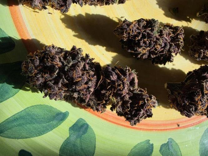 Super Deluxe. Week 19