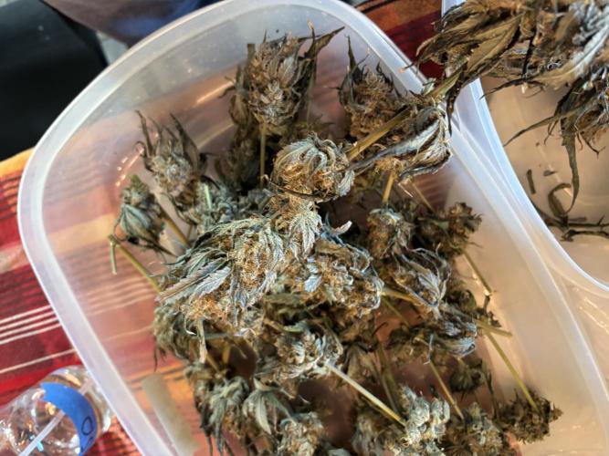 XXX #20 x End Game #5  - 08-2025. Week 24