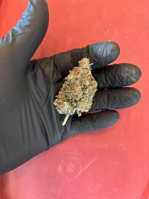 XXX #20 x End Game #5  - 08-2025. Week 24