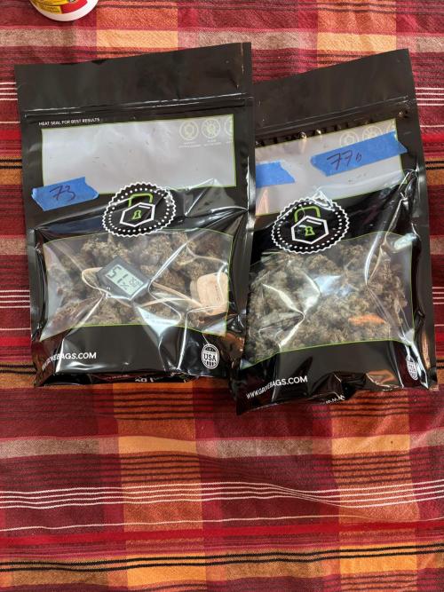 XXX #20 x End Game #5  - 08-2025. Week 24