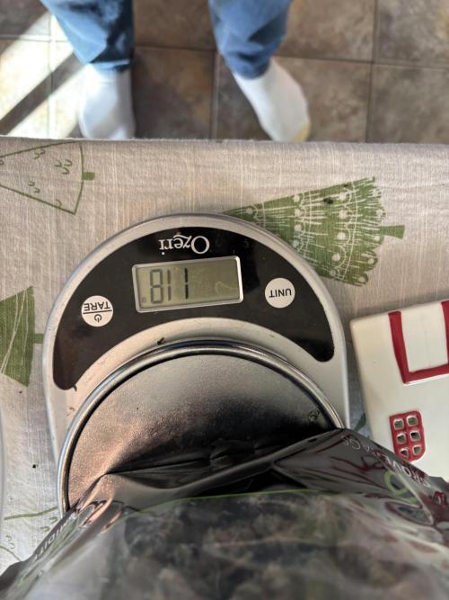 BAG See -AZ Brand Made -Sherbana Cabana. Week 17