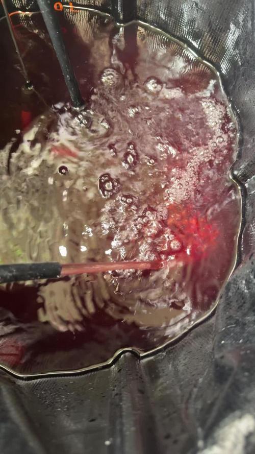 SUPERBOOF - BlockBerry🍓BLKHEADbuds