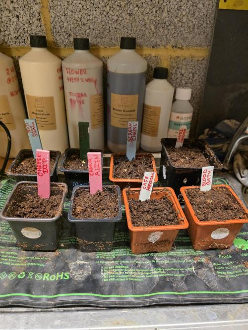 5 x 5 Jan 2026. Week 0