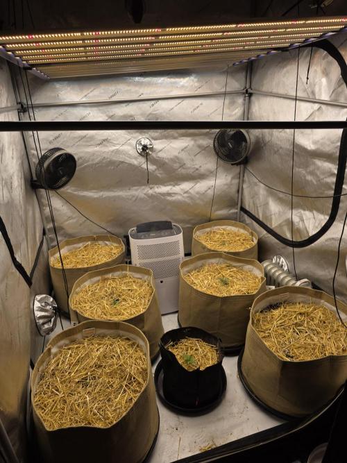 5 x 5 Jan 2026. Week 3