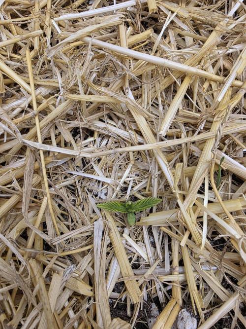 5 x 5 Jan 2026. Week 3