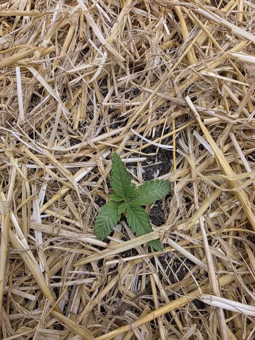 5 x 5 Jan 2026. Week 3