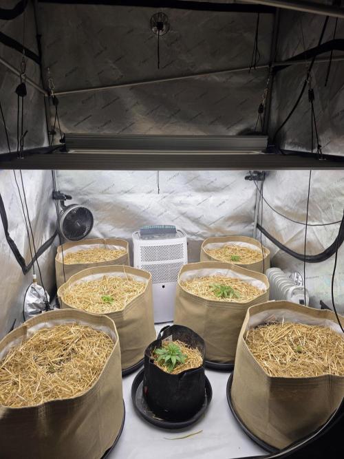 5 x 5 Jan 2026. Week 4