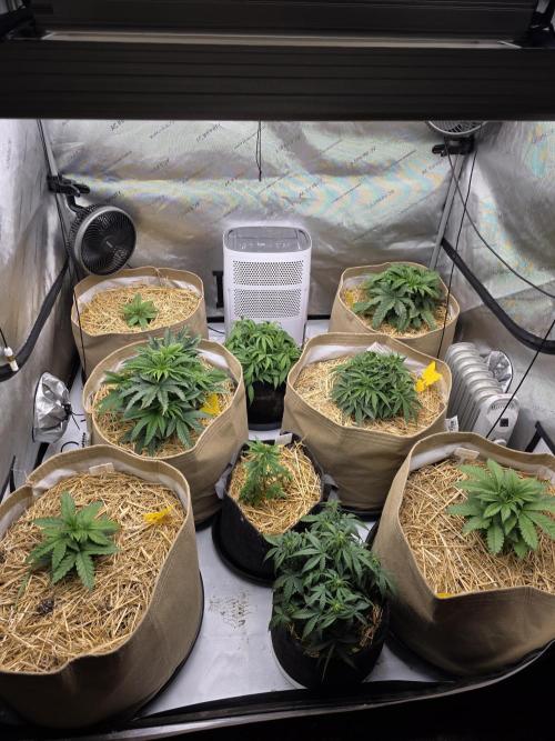 5 x 5 Jan 2026. Week 6