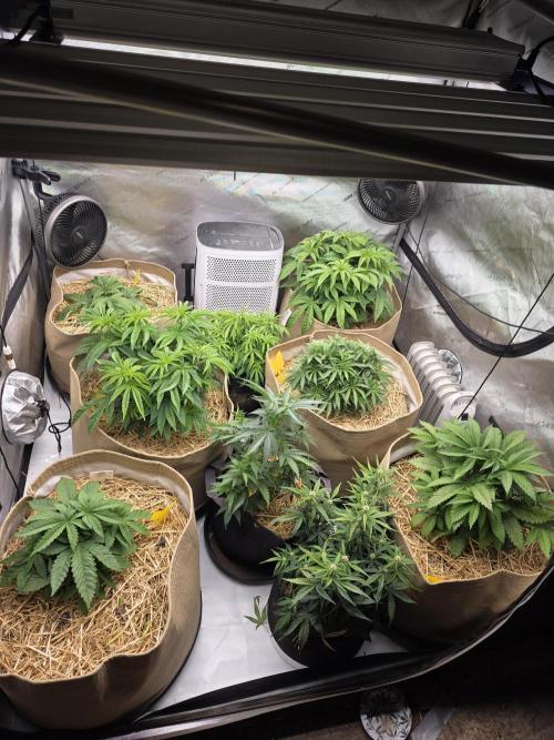 5 x 5 Jan 2026. Week 7