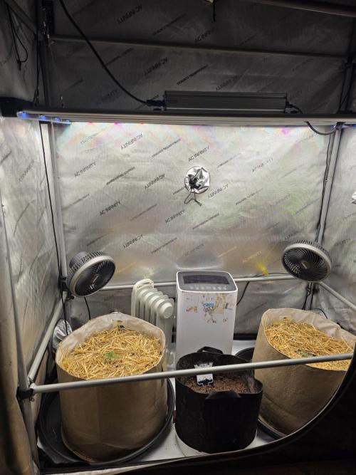 2 x 4 Jan 2026. Week 1