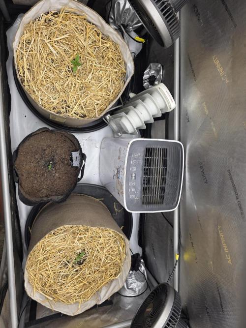 2 x 4 Jan 2026. Week 1