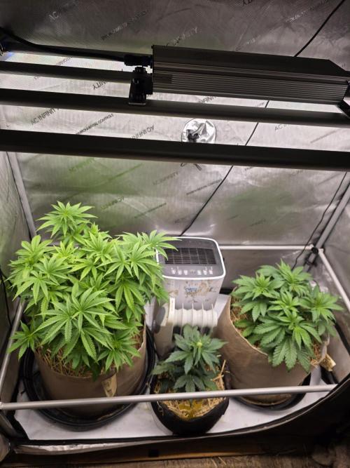 2 x 4 Jan 2026. Week 6