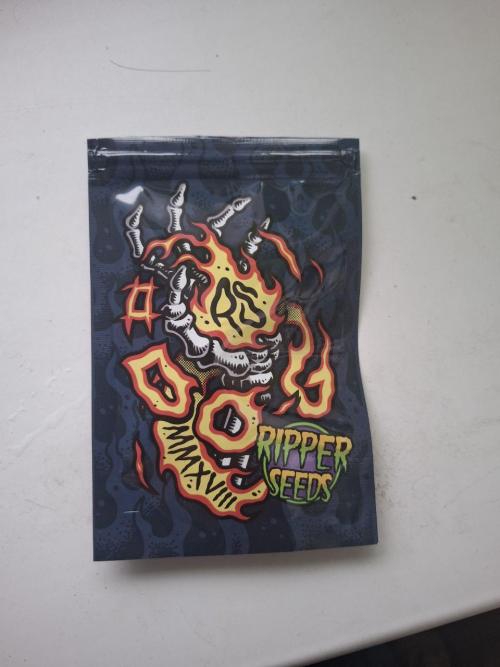 Do-G Ripper seeds. Week 0