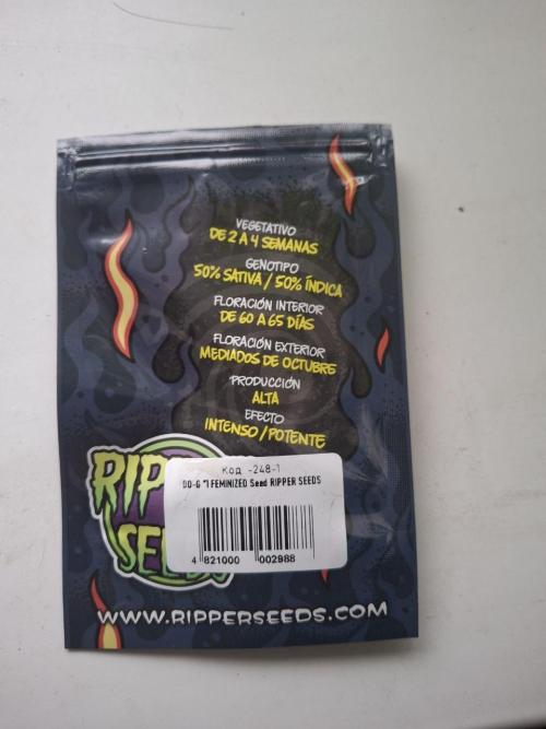 Do-G Ripper seeds. Week 0