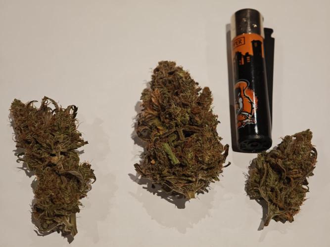 Auto Aero !. Week 10