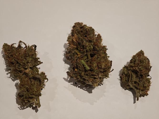 Auto Aero !. Week 10