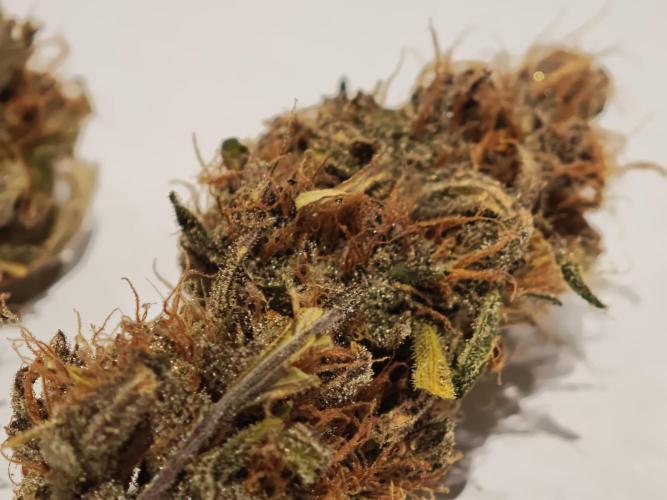 Auto Aero !. Week 10