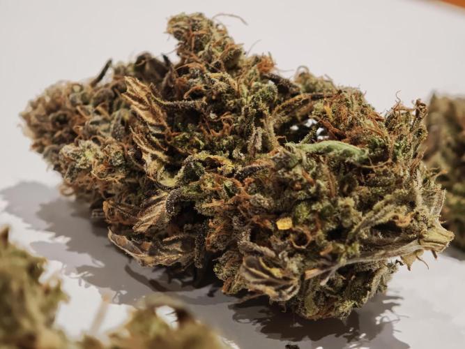 Auto Aero !. Week 10