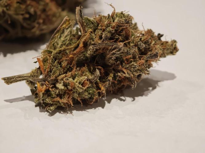 Auto Aero !. Week 10