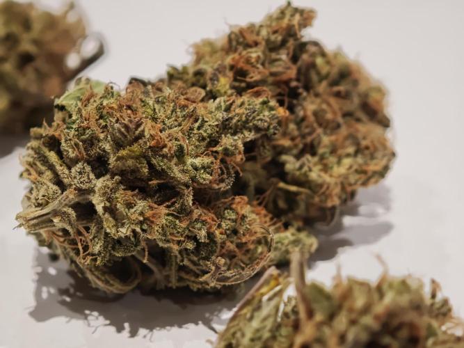 Auto Aero !. Week 10