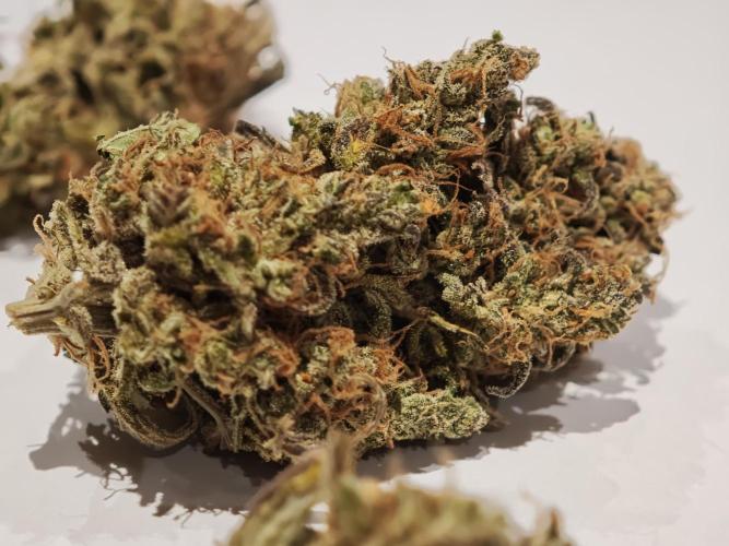 Auto Aero !. Week 10