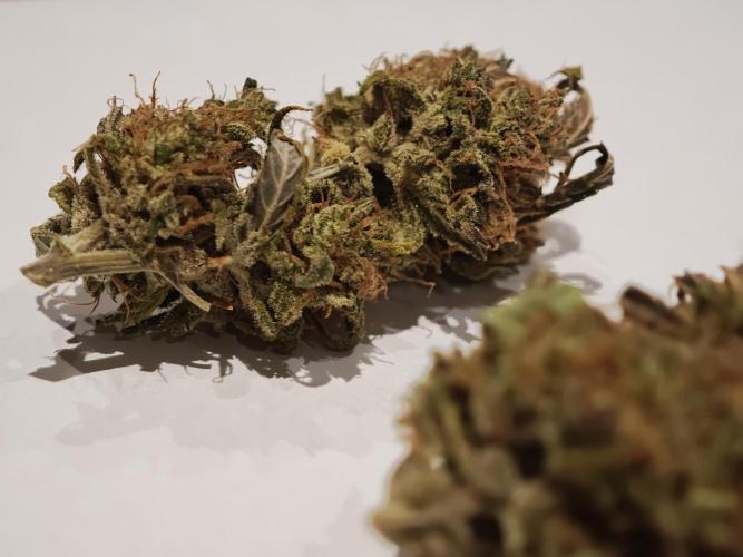 Auto Aero !. Week 10