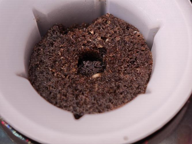 Hydro Auto Sativa/indica. Week 0 - Sour jealousy 