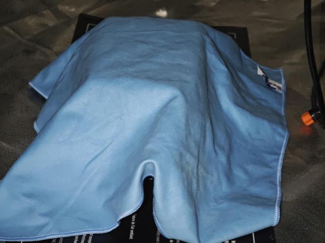 Hydro FF Auto Sativa. Week 0