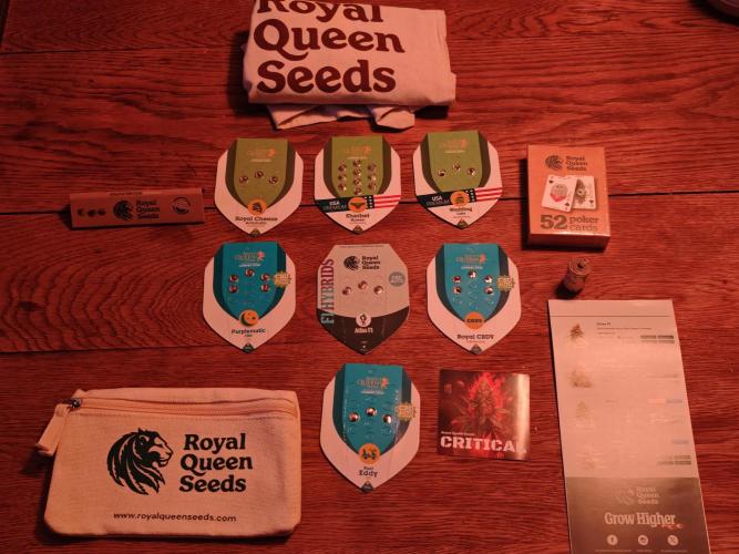 Coco auto medicinal grow RQS. Week 0