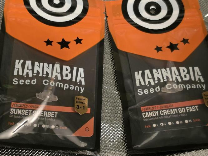 Aero #kannabia Candy cream go fast. Week 0