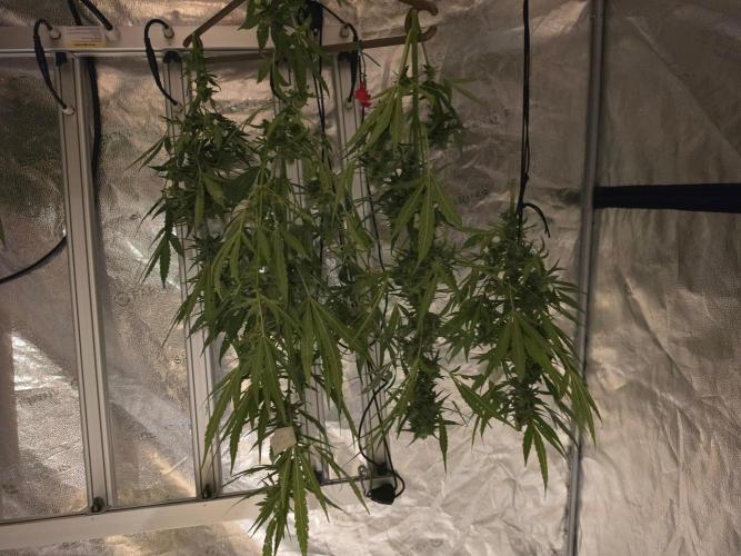 Rqs f1 outdoor 2. Week 8