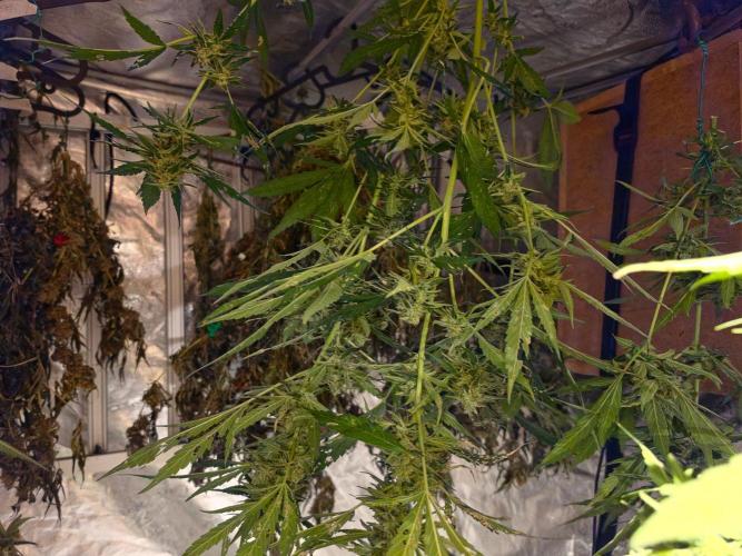Rqs f1 outdoor 2. Week 8