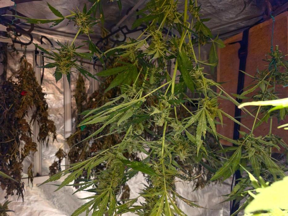 Rqs f1 outdoor 1. Week 8