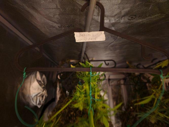 Outdoor haze 2. Week 9