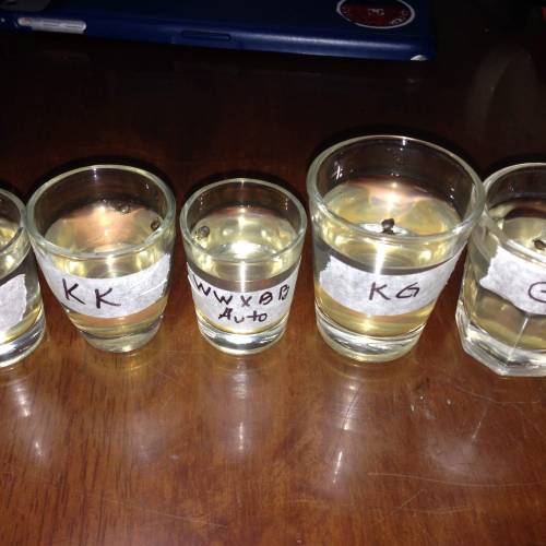 Miltiple Strain grow. Week 1 - germination time